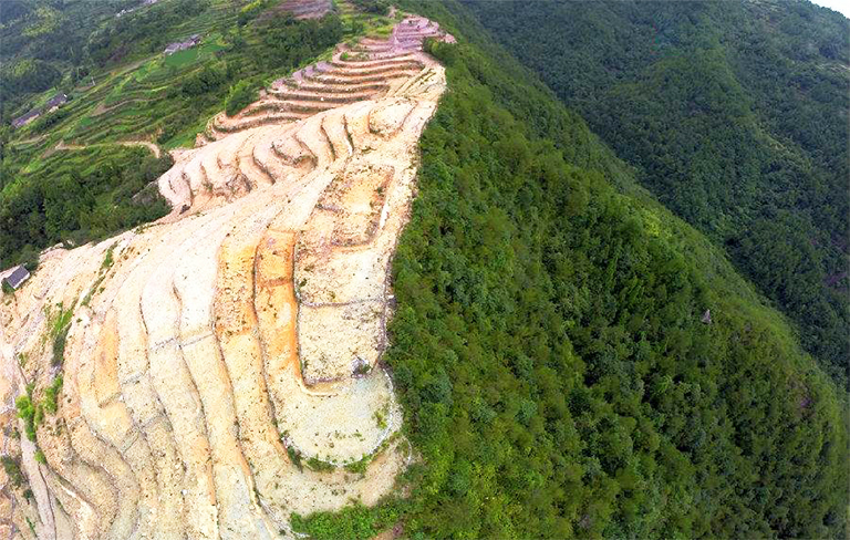 什么是森林砍伐？毀林是一個日益嚴重的全球性問題