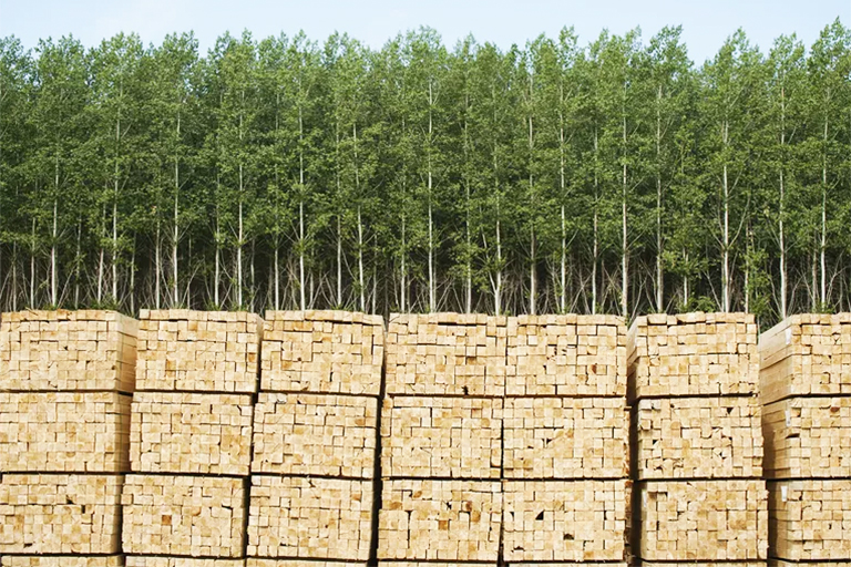 什么是多用途管理-林業與土地管理