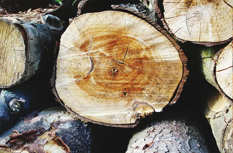 出售樹(shù)木時(shí)收獲的主要木材產(chǎn)品-您在木材銷(xiāo)售時(shí)可能擁有的林產(chǎn)品