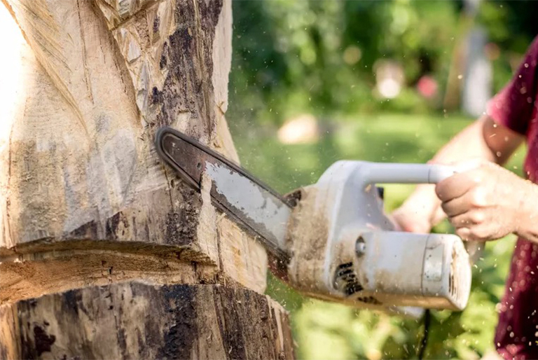 重要電鋸安全信息和技能-為了在樹林中安全地工作（一）