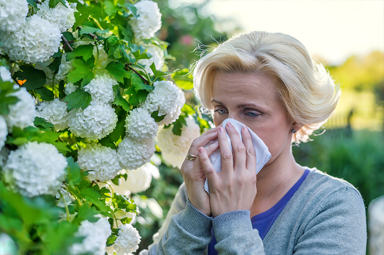 哪些類(lèi)型的花粉樹(shù)引起過(guò)敏-您可以和他們一起生活的花粉生產(chǎn)者