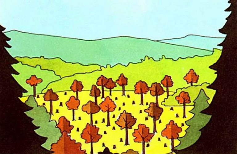 樹木均勻采伐的方法-再生均勻年齡林分的天然播種系統