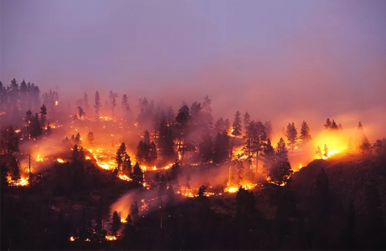 活動的野火狀況報告和地圖-美國新信息