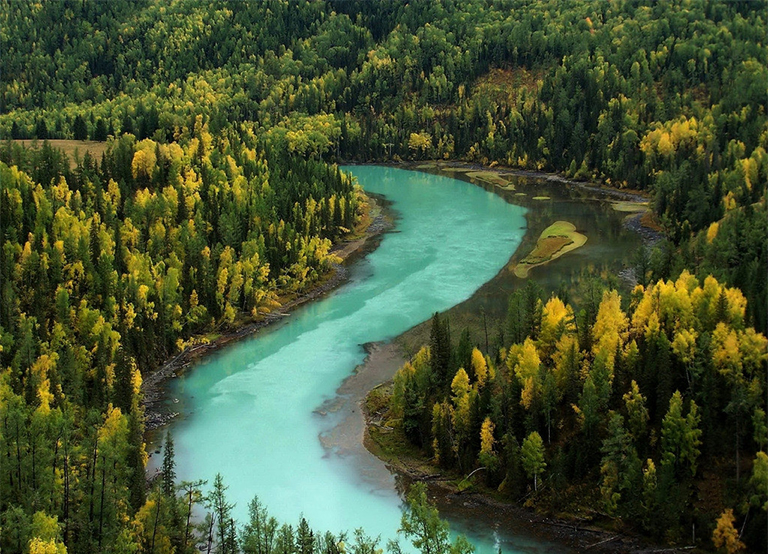 陸地生物群落塔加斯-關于北方森林的一切