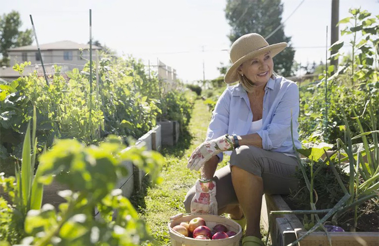 12種糟糕的菜園害蟲-不使用化學藥品即可收回您的花園（一）