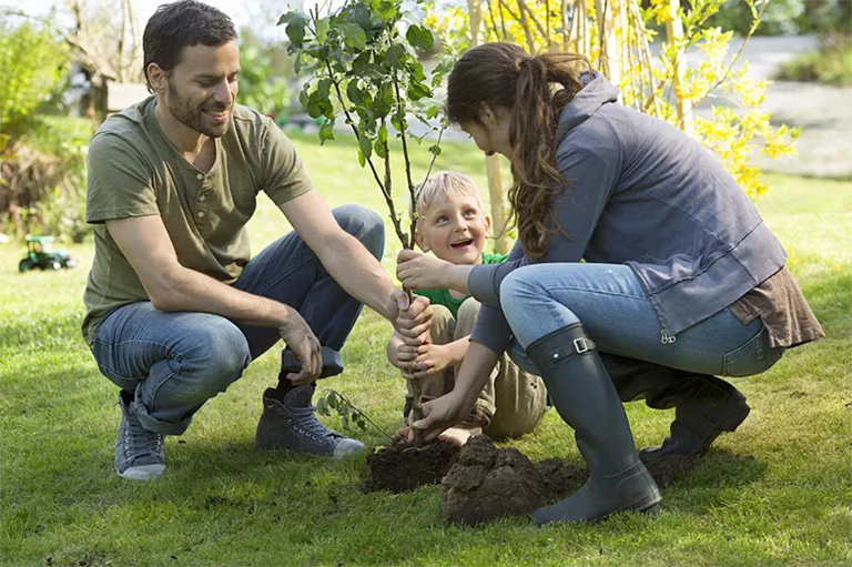 種植十億棵樹-人們與全球變暖作斗爭