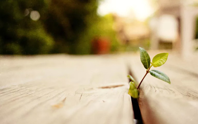 考古學中的穩(wěn)定同位素分析-穩(wěn)定同位素及其研究原理