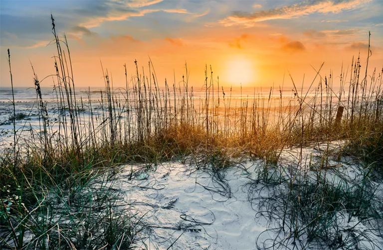 喬治亞州的國家公園-橡樹 內戰遺址 海灘（一）