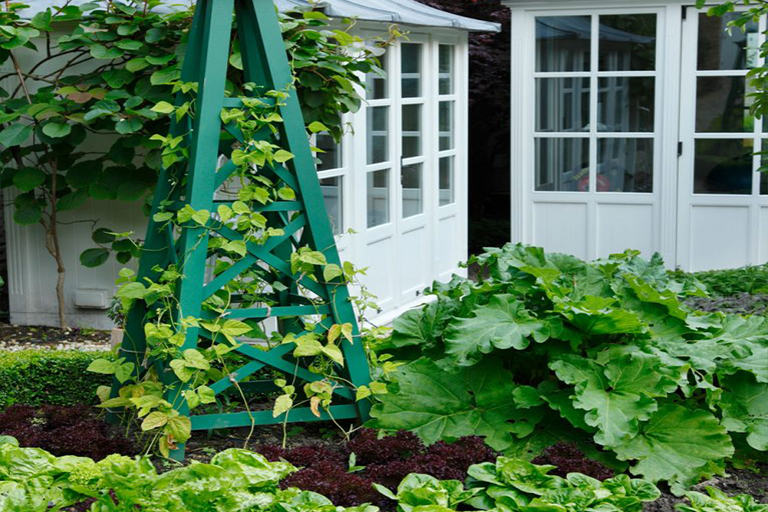 開春在植物花園的工作–準備蔬菜田，種植吊籃和培育草坪（下）