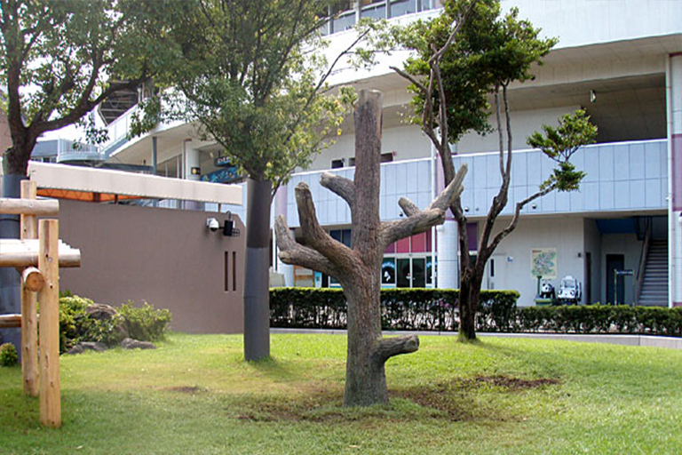 室外空間放置仿真樹遮陽時可以避免陽光直射