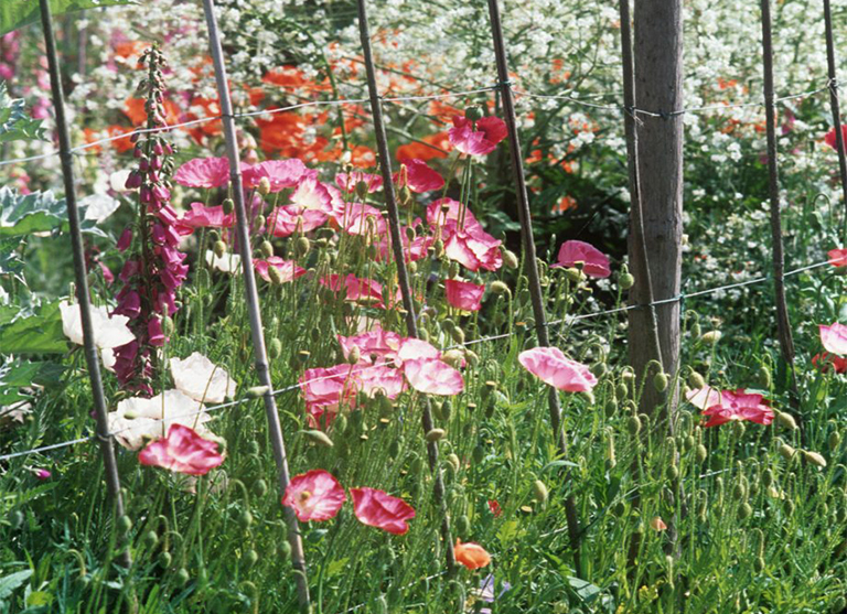 北京廠家關(guān)于植物花園柵欄／圍欄的設(shè)計(jì)構(gòu)想（下）