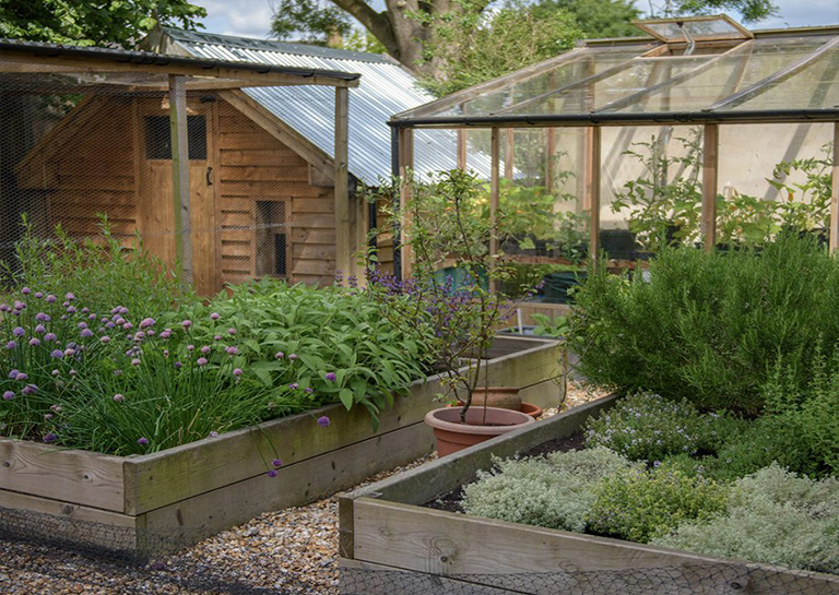 簡(jiǎn)單的創(chuàng)意方法來(lái)改善植物花園可以不花一分錢(qián)哦 (上)