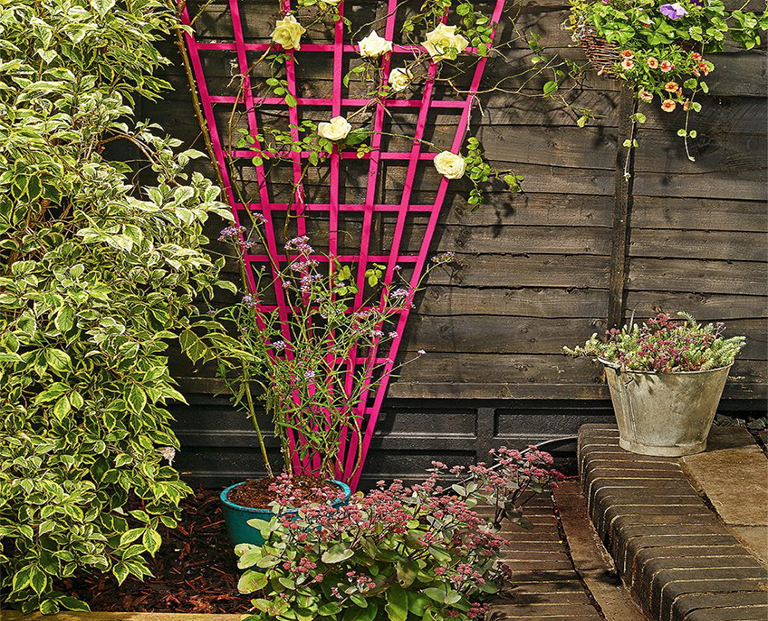 簡(jiǎn)單的創(chuàng)意方法來(lái)改善植物花園可以不花一分錢(qián)哦 (下)