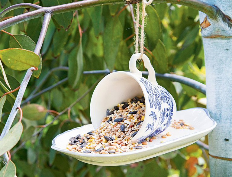 15種簡(jiǎn)單創(chuàng)意方法將植物花園變成野生動(dòng)物的天堂（上）