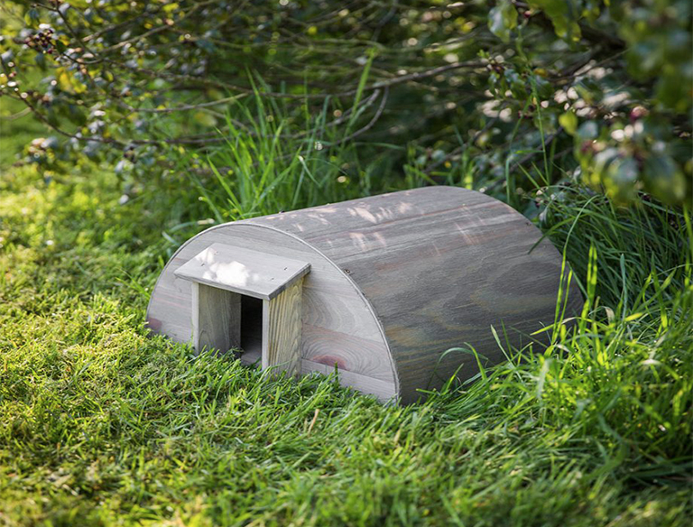 15種簡(jiǎn)單創(chuàng)意方法將植物花園變成野生動(dòng)物的天堂（下）