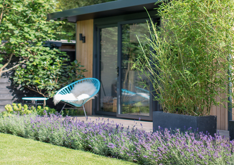 如何打造一個(gè)對(duì)野生動(dòng)物友好的植物花園？