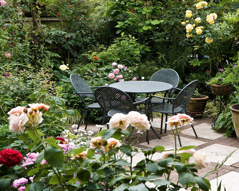 簡單低維護的植物花園創意就可改變您的戶外空間（二）