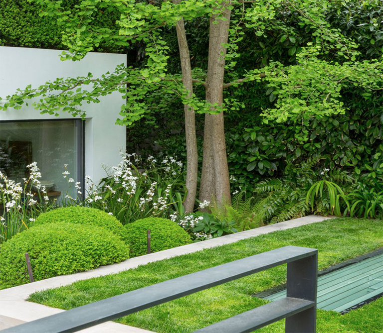 10種耐污染植物以及如何照顧它們（下）