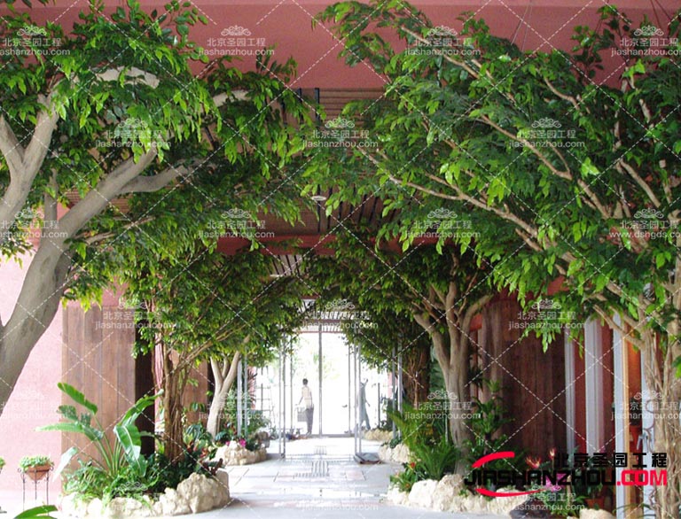 仿真樹造型美靈活多變，營造出四季如春的綠色世界