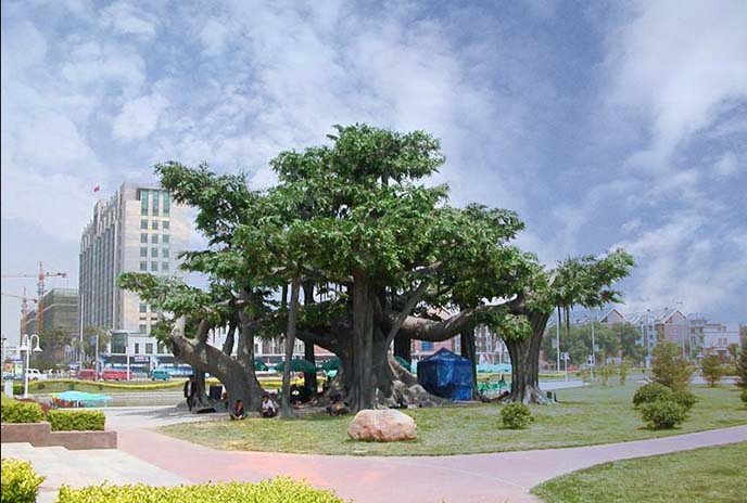 仿真樹的出現(xiàn)能增加美觀性，提高整體形象