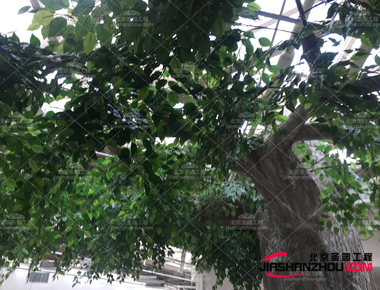 那么大家對(duì)仿真樹有什么優(yōu)勢(shì)與劣勢(shì)呢這里給大家來說一下