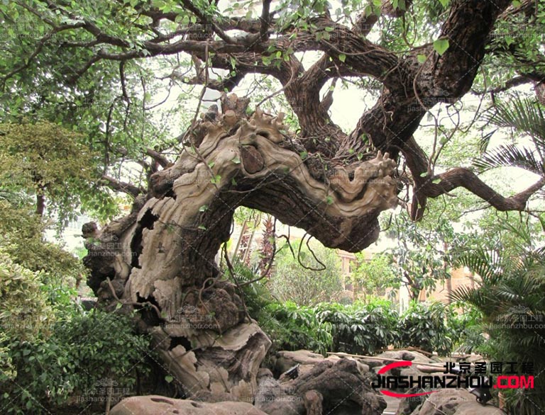 制作仿真樹的時候想對真實的樹木加的節省時間和成本