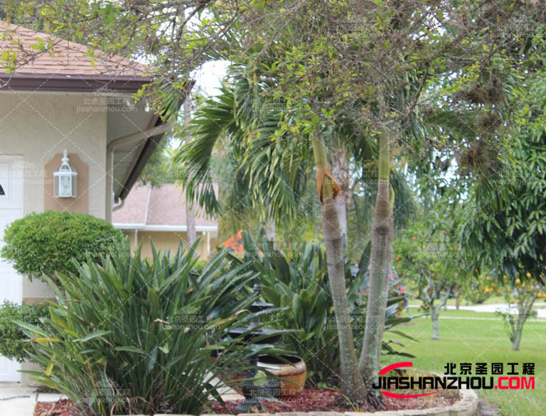 現在的室內外仿真樹的活動場地：如演唱會、展覽等活動場地