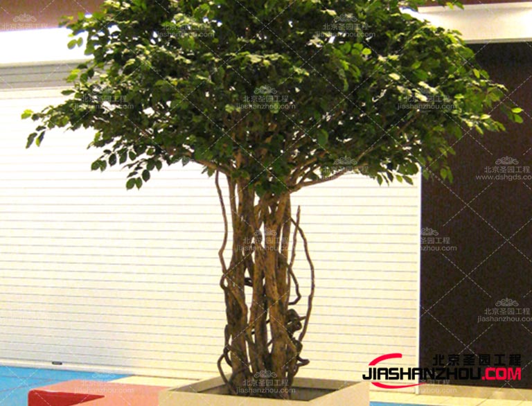 現(xiàn)在需要仿真樹是如此的讓城市煥發(fā)出生機適用于多樣化場景