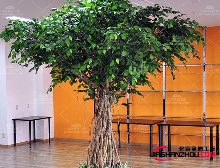 仿真樹可以為人們提供一種接近自然的感覺(jué)緩解壓力