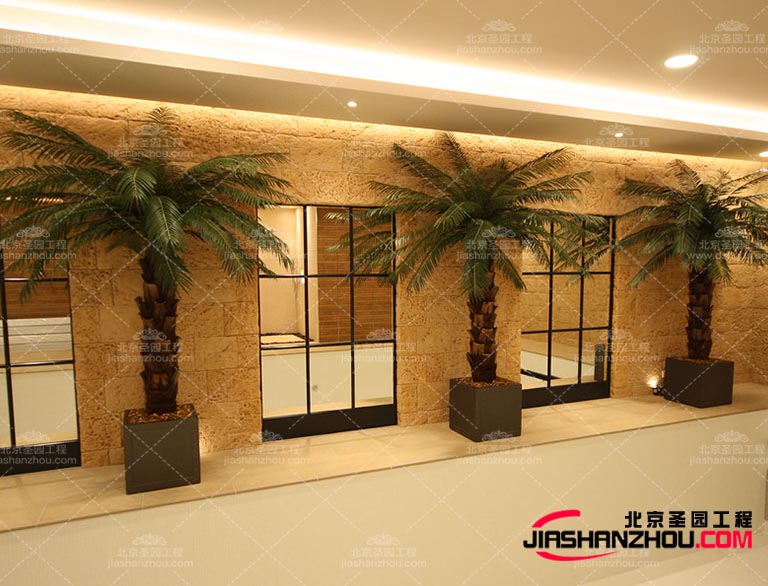 大家是否知道仿真樹的起源呢，是什么時候出現(xiàn)的呢