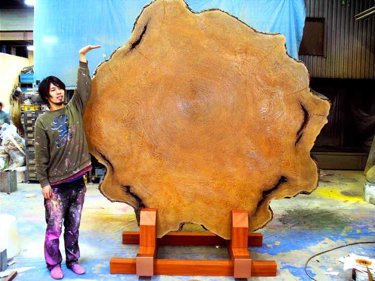 巨木年輪.jpg 仿真樹年輪