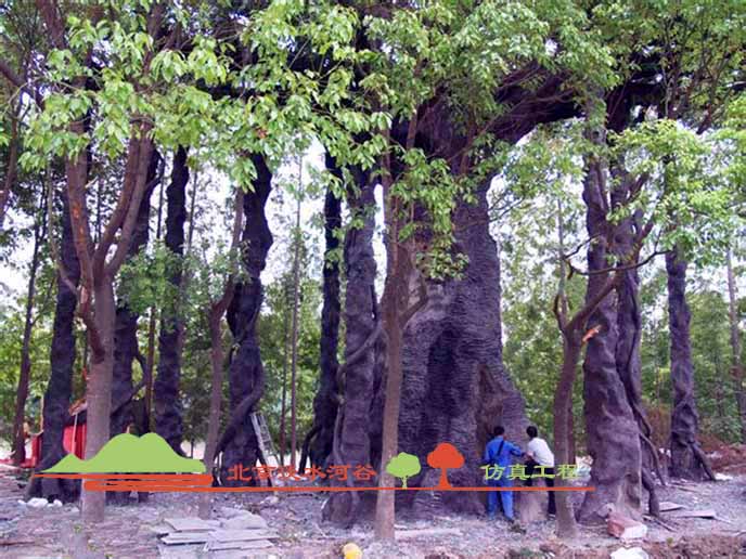 假樹價(jià)格.jpg 假樹價(jià)格