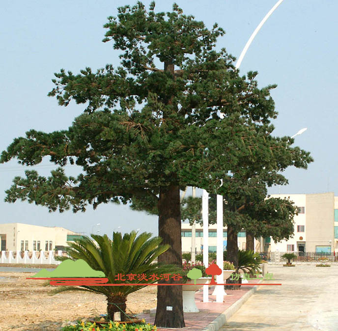 假樹價(jià)格.jpg 假樹價(jià)格