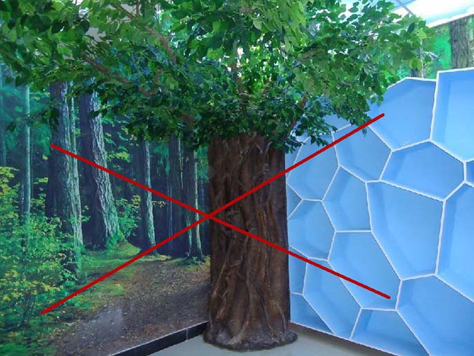 假樹(shù).jpeg 假樹(shù)