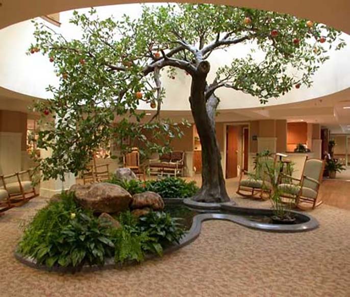 假樹(shù).jpg 假樹(shù)