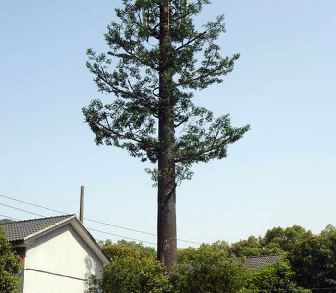 仿生通信樹(shù).jpg 仿生通信樹(shù)