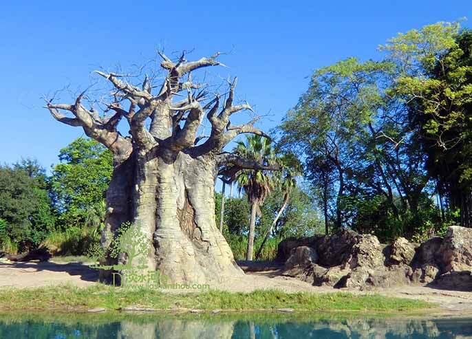 仿真樹(shù).jpg 仿真樹(shù)