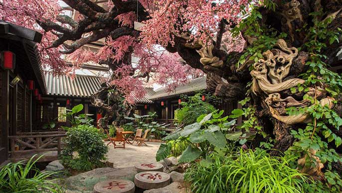 仿真臘梅樹.jpeg 仿真臘梅樹