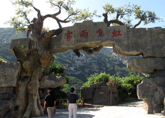 仿真樹大門.jpg 仿真樹大門