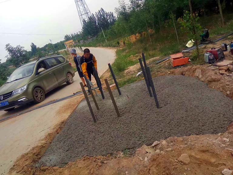 仿真樹.jpg 仿真樹