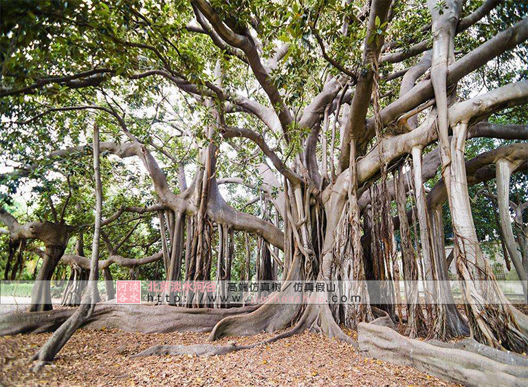 仿真樹.jpg 仿真樹