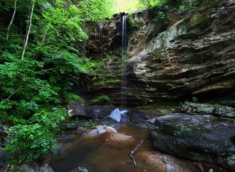 塔拉迪加國家森林公園在阿拉巴馬州.jpg 塔拉迪加國家森林公園在阿拉巴馬州