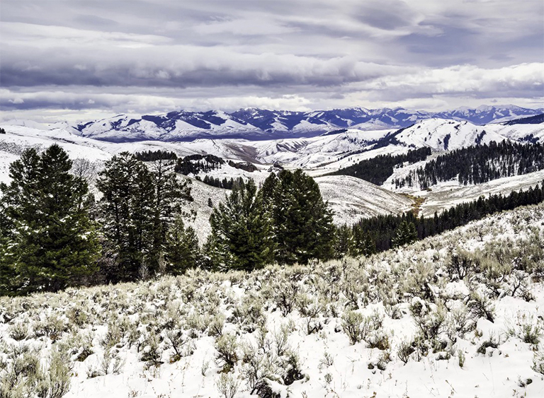 愛達荷州鮭魚Challis國家森林.jpg 愛達荷州鮭魚Challis國家森林