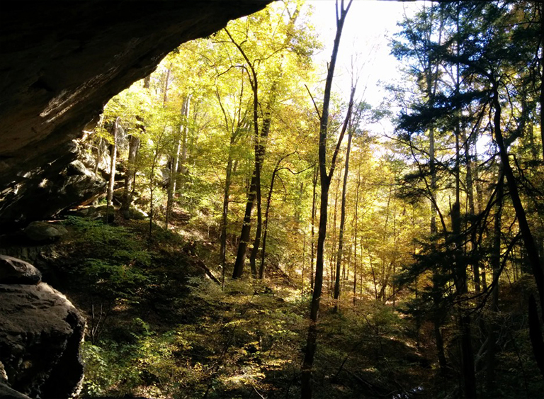 印第安納州的印第安納州國家森林公園.jpg 印第安納州的印第安納州國家森林公園