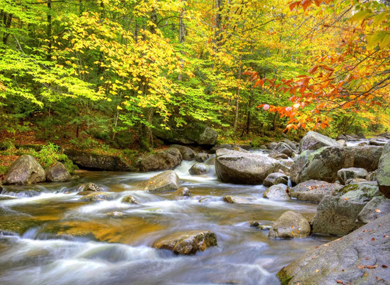 懷特山國家森林公園在緬因州.jpg 懷特山國家森林公園在緬因州