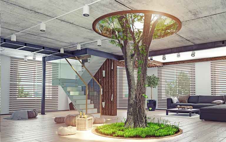 博物館假樹.jpg 博物館假樹