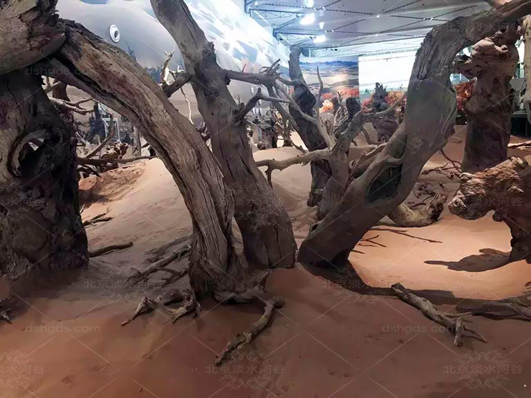 博物館假樹.jpeg 博物館假樹