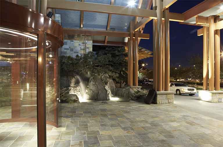 博物館假樹.jpg 博物館假樹