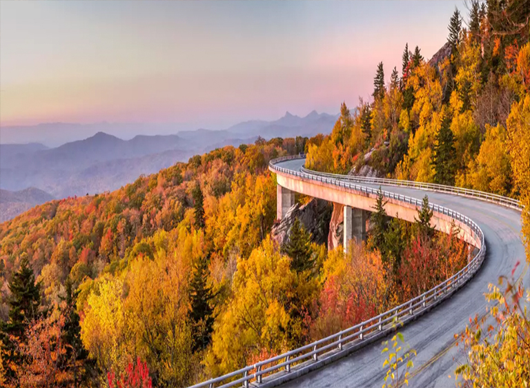 仿真樹.jpg 仿真樹