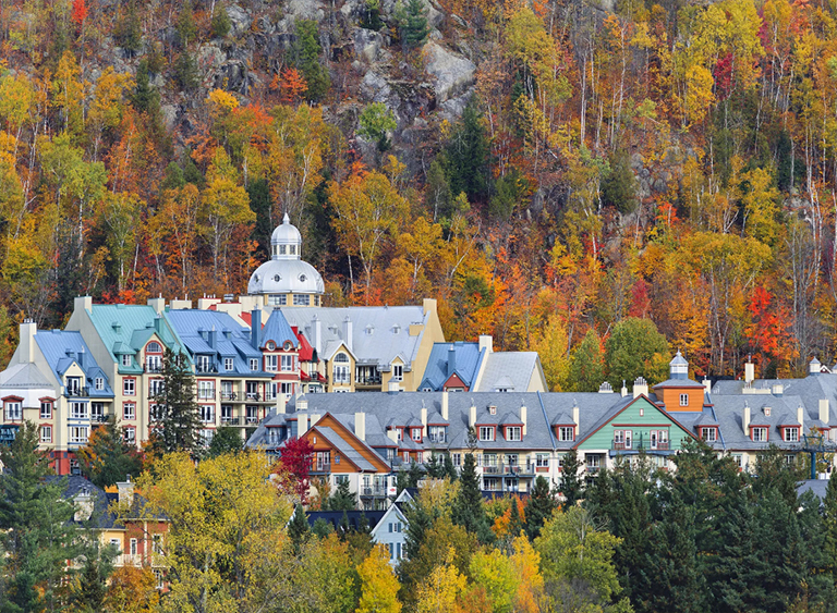 仿真樹.jpg 仿真樹